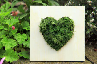 Gardening as a Lifeline: Coping with Heartache Through Nature’s Cycles