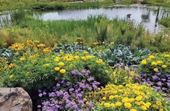 Restorative Garden Design: Create a Healing and Tranquil Outdoor Space