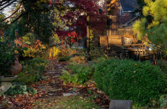 Kevin’s Pennsylvania Garden in November