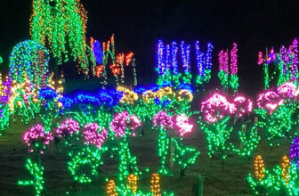 GPOD on the Road: Garden d’Lights at Bellevue