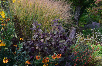 Nancy’s Oregon Garden in Fall
