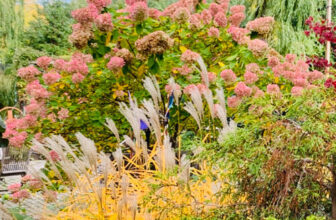 Anna’s Warm, Dry Fall in Wisconsin