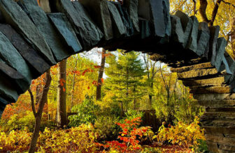 Revisiting Carol’s Fall Garden, Part 2