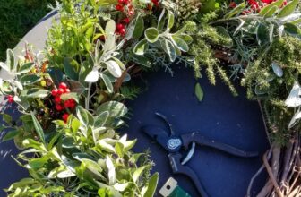 Sowing Seeds of Self-Love: A Garden Meditation for the Holiday Blues