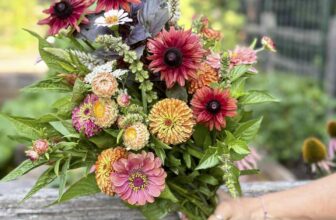 looking back, and forward, at the garden with joe lamp’l