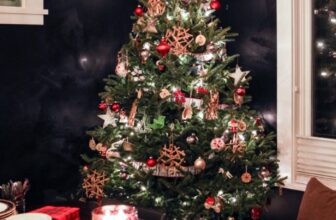 How to Keep a Christmas Tree Alive