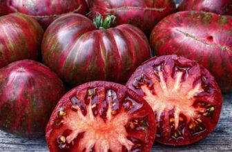 5 Items To Put In A Tomato Planting Hole