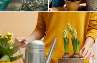 Tricks Every Plant Lover Needs to Know