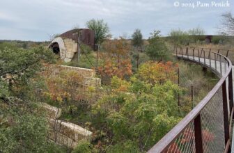 Tobin Land Bridge gives wildlife and people safe passage