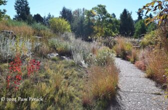 Fall at Denver Botanic Gardens: Pond, prairie garden, and Victorian garden
