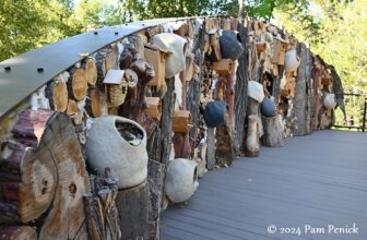 Fall at Denver Botanic Gardens: PlantAsia and Birds and Bees Walk