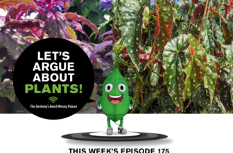 Episode 175: Great Houseplants  – Fine Gardening
