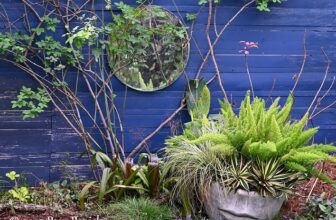 Lori’s blue fantasia garden – Digging