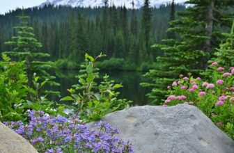 Wildflowers and waterfalls at Mount Rainier National Park