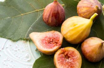 7 Fascinating Plants and Flowers of Greek Mythology