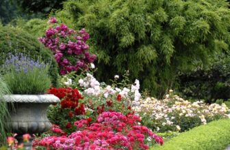 Simple Tips for Creating Beautiful Garden Borders