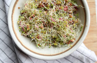 The Best Sprouts to Eat and How to Grow Them from Seed