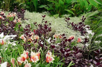 GPOD on the Road: Behind the Scenes at Coastal Maine Botanic Garden, Part 1