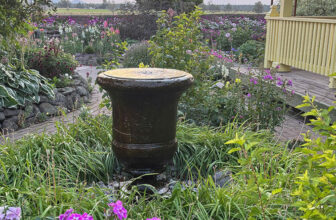 A Summer to Remember in Michael and Don’s Oregon Garden