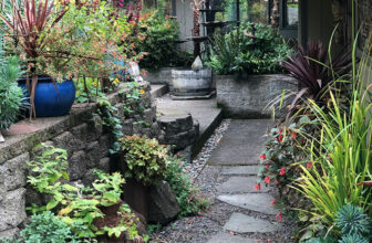 Karen’s Garden Goes From Blank Slate to Bounty