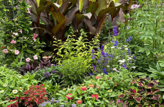 Hugh’s Long Flower Border Last Summer