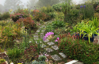 Harriet’s Maine Garden in 2025