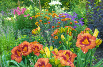 Exceptional Scenes From Sue’s 2024 Garde5