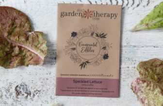 Tips for Buying Seeds for Gardening