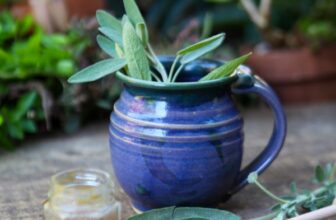 Natural & Homemade Herbal Common Cold Remedies