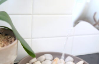 Keep Blooms Beautiful with a DIY Orchid Humidity Tray