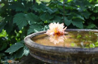 Setting Gardening Goals for Emotional Well-Being