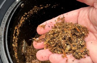 Is a Countertop Composter Worth Trying? How I’m Incorporating One Into My Kitchen