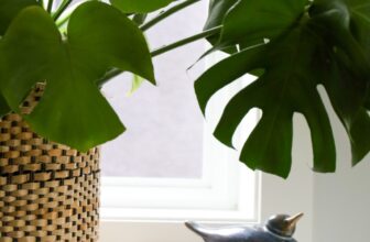 How Gardening for Seasonal Affective Disorder Can Chase the Blues