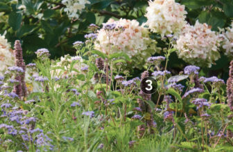 Planting Plan for a Sophisticated Pollinator Garden