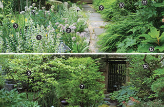 Planting Plans for Inspired Designs for a Front Yard Garden