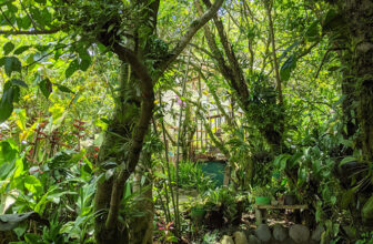 GPOD on the Road: Monteverde Orchid Garden, Part 2