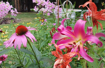 There is Always Room for More