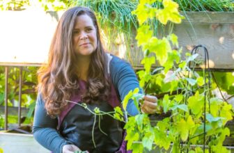 Accessible Gardening: Creating a Garden That Supports YOUR Body