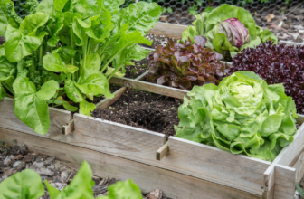 How to Make Compost Tea for a Thriving Garden