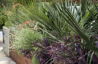 Patio garden at Austin’s Bureau de Poste bistro