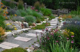 Ryan Harter’s backyard xeric garden, part 2