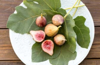 A Guide for Growing Figs in the Home Garden (It’s So Worth It!)