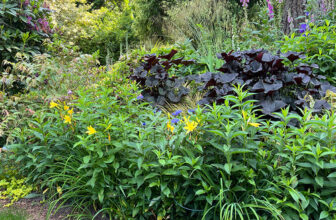 Jeanne’s Spring Garden in Washington