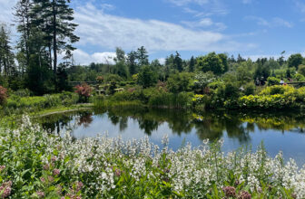 GPOD on the Road: Coastal Maine Botanical Garden in Early Summer