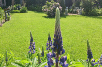 Lee’s Spring Garden in the Mohawk Valley