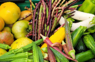 Kimberly’s Golden Garden in North Carolina