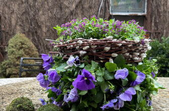 New Container Creations from Howard