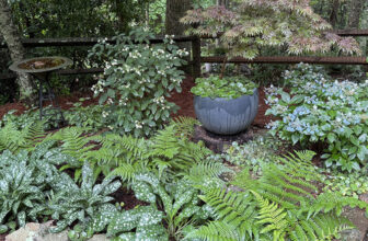 Bonnie’s Spring Highlights in North Georgia