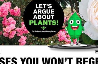 Episode 183: Roses You Won’t Regret