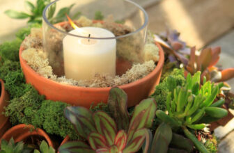 Make This Stunning Terra Cotta Pot Succulent Centerpiece